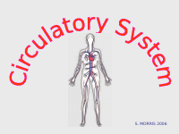 Circulatory System.ppt